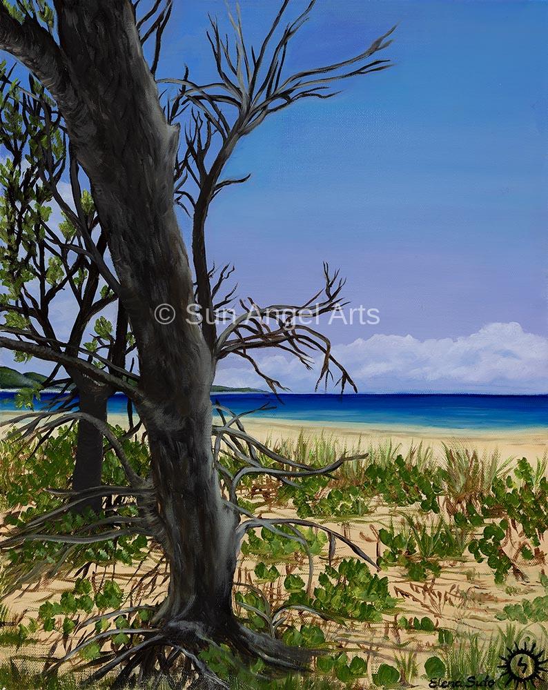 050 Trees on the Beach