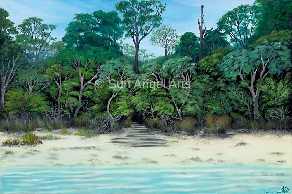 072 Basin Lake (Fraser Island, QLD) (Reproduction)